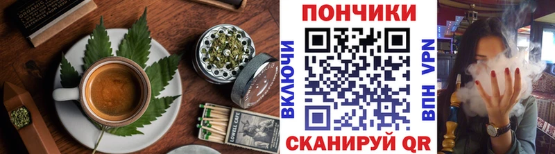дарк нет наркотические препараты  Курильск  Cannafood марихуана  купить наркотик 