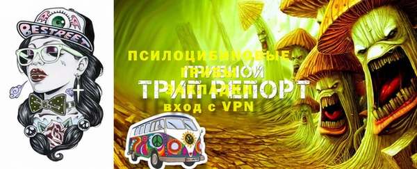 не бодяженный Гусев