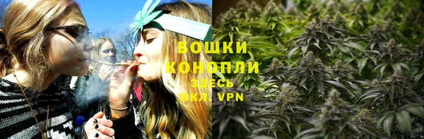 не бодяженный Гусев