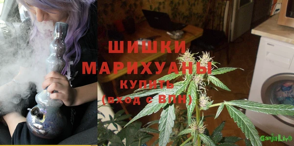 не бодяженный Гусев