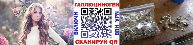 Галлюциногенные грибы GOLDEN TEACHER  Курильск 